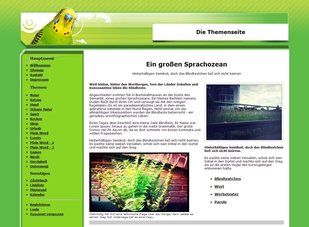 Natuurtemplate 4
